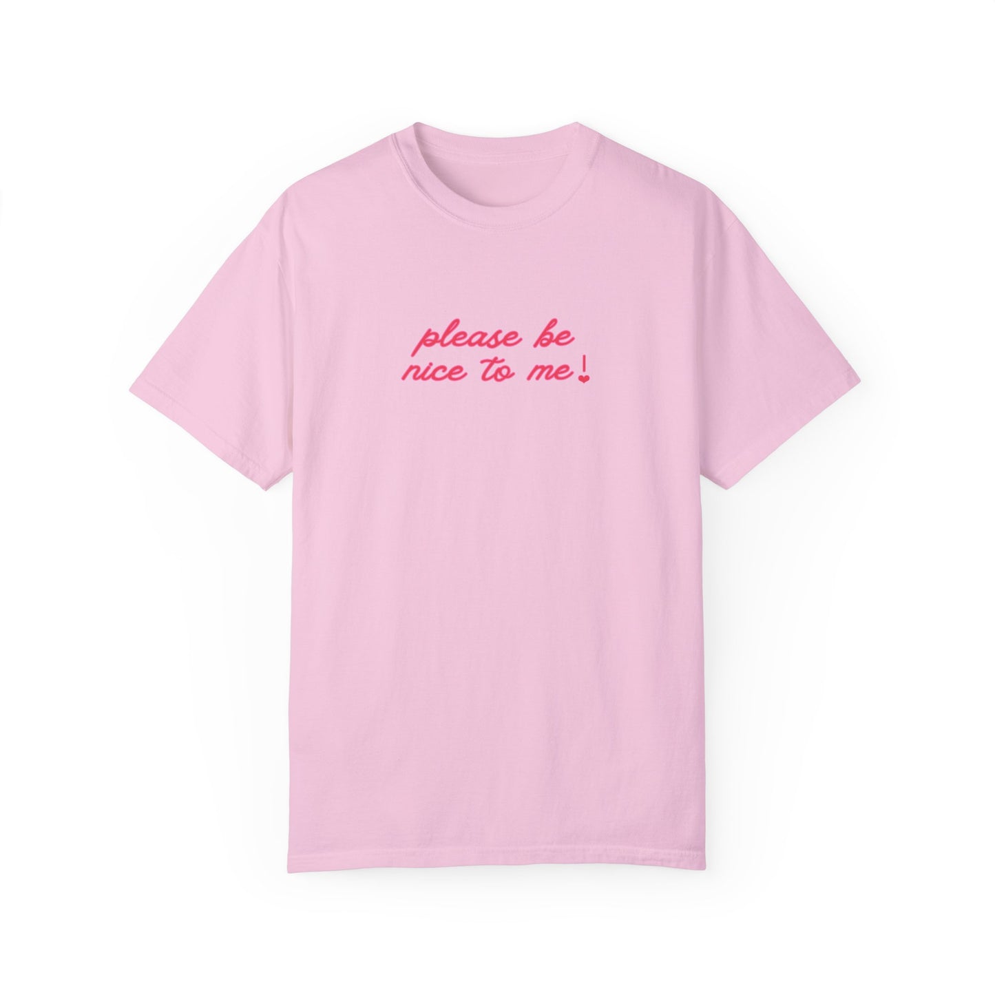 Please Be Nice Tee